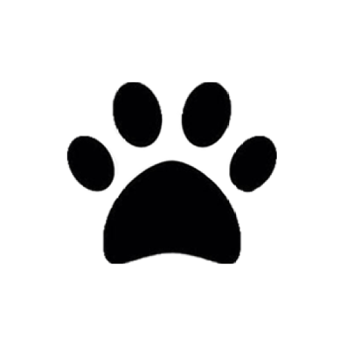 Heart shape PU pet sofa/dog chair